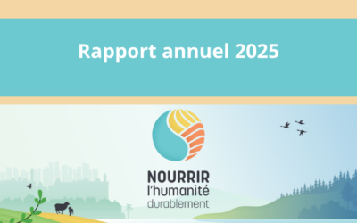 2025 Activity Report
